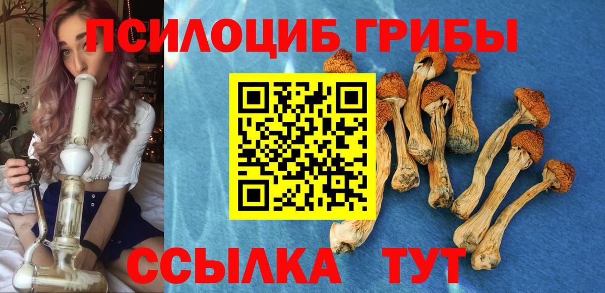 Галлюциногенные грибы мицелий Зеленокумск