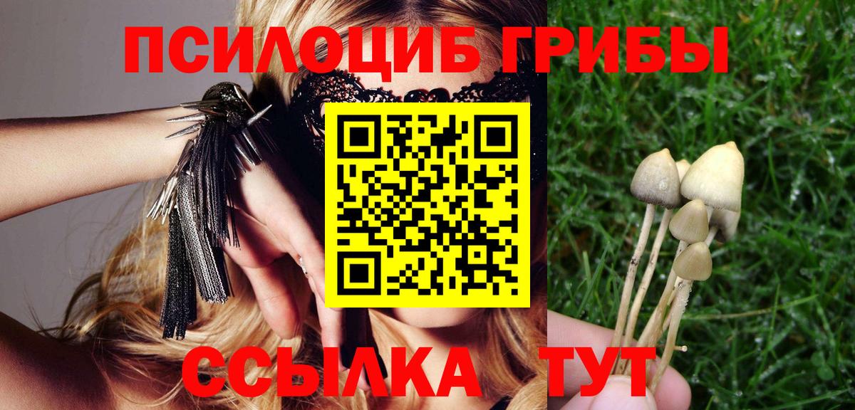 Галлюциногенные грибы MAGIC MUSHROOMS  купить наркотики сайты  Зеленокумск  Вход с VPN 